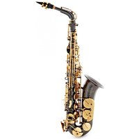 Roy Benson AS202 Alto Saxophone Black and Gold