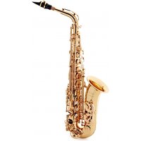 Trevor James EVO Alto Saxophone Gold Lacquer