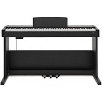 VISIONKEY-500 Digital Piano Matte Black