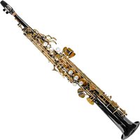Trevor James EVO Soprano Saxophone Black and Gold