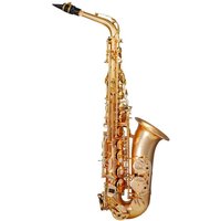 Trevor James EVO Alto Saxophone Gold Frost