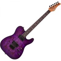 Schecter PT Standard Burl Purple Burst