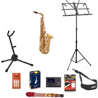 Trevor James The Horn Alto Saxophone Gold Lacquer Package