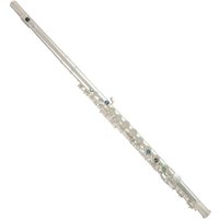 Trevor James Performer Alto Flute Straight Voce Head