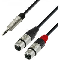 Adam Hall 4 STAR Rean 3.5mm TRS Mini Jack to Twin XLR (F) Splitter Cable 3m