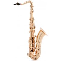 Trevor James EVO Tenor Saxophone Gold Frost