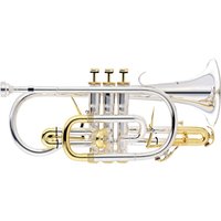 Advanced Cornet with Gold Plated Accents by Gear4music - Nearly New