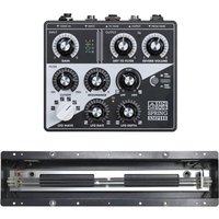 Benidub Spring Amp III with TAD Type-9 Spring Tank