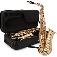 Rosedale Professional Alto Saxophone by Gear4music