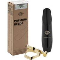 Selmer Paris Concept Tenor Sax Mouthpiece Package