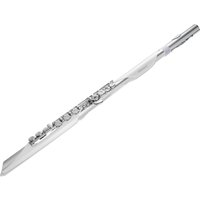 Roland Aerophone Brisa Digital Wind Instrument