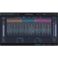 Arturia Bus TRANSIENT