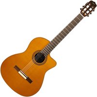 Cordoba Fusion Orchestra CE Cedar Electro Acoustic Guitar
