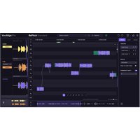 Synchro Arts RePitch 2 Standard VocAlign Pro Bundle