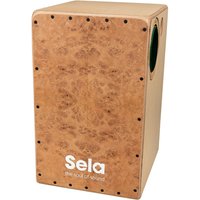 Sela Iconic Cajon Oak Roots