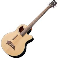 Warwick RockBass Alien Standard 5 String Fretless Acoustic Bass Natural