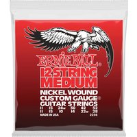 Ernie Ball 2236 Nickel Wound 12-String Electric Medium 11-52