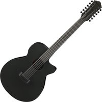 Ibanez AEG1221 12-String Black Out
