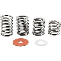 Bigsby Spring and Washer Pack Steel