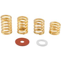 Bigsby Spring and Washer Pack Gold