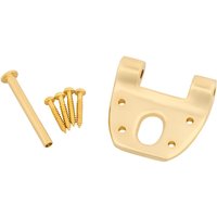 Bigsby Extra Short Hinge w/Hinge Pin and Screws Gold