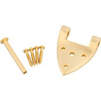 Bigsby B3/6C Gretsch Hinge with Hinge Pin and Screws Gold