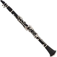 Forte CL220 Bb Clarinet Outfit
