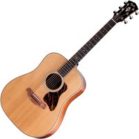 Taylor Gold Label 510e