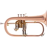 Bach FH501 Student Flugel Horn Outfit - Ex Demo