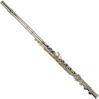 Trevor James Privilege Flute Shaped Silver Lip Plate Open Hole
