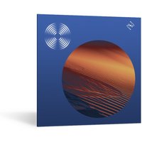 iZotope RX 12 Standard