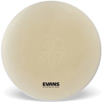 Evans Strata 1400 Power Center Reverse Dot Concert Bass Head 40