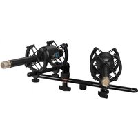 sE Electronics RN17 Rupert Neve Matched Pair