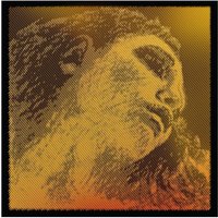 Pirastro Evah Pirazzi Gold Cello String Set