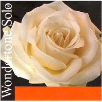 Pirastro Wondertone Solo Violin A String Ball End