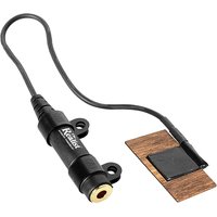 Realist WoodTone Bass Transducer