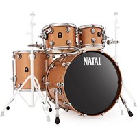 Natal Café Racer 22" 4pc Shell Pack Champagne Sparkle