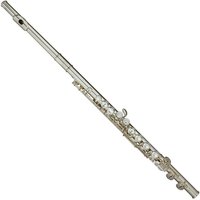 Trevor James Privilege Flute Shaped Silver Lip Plate