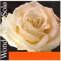 Pirastro Wondertone 26.7 Violin E String Loop End