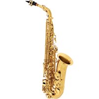 Yanagisawa AWO10 Alto Saxophone Brass
