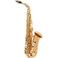 Yanagisawa AWO20 Alto Saxophone Bronze