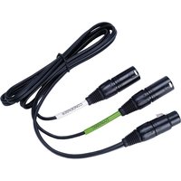 Lewitt DTP40TR 5-Pin XLR to 2x XLR Cable 4m