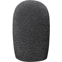 Aston Starlight Windscreen