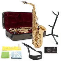 Rosedale Professional Alto Saxophone Complete Pack by Gear4music