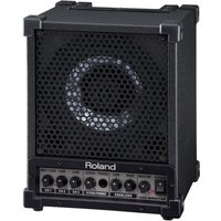 Roland CM30 30W CUBE Monitor