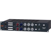Warm Audio WA273-EQ Zweikanaliger Mikrofonvorverstärker mit EQ