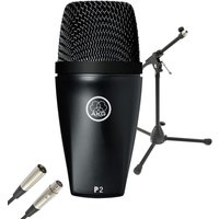 AKG P2 Dynamisches Bassmikrofon mit Ständer & Kabel