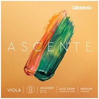 DAddario Ascenté Viola G-Saite XX kurze Mensur mittel
