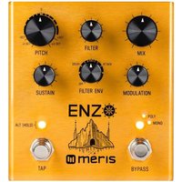 Meris Enzo Synth Pedal