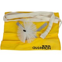 Champion Alto Sax durchziehen